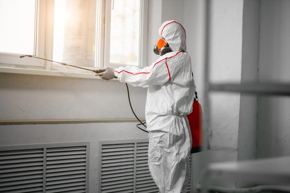 Professional mold remediation services in Randallstown, MD